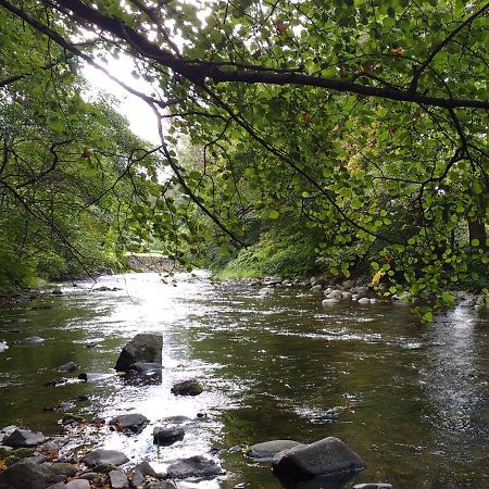 مبيت وإفطار Willer-sur-Thur Entre Thur Et Montagne المظهر الخارجي الصورة
